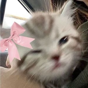 Meet your Posher, Alyssa